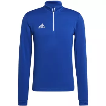 adidas Entrada 22 Haut d'entraînement Homme Team Royal Blue/Blanc Sweat M