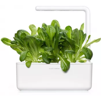 Click & Grow SGR50X3 Lettuce Plant Pod Refill (3-Pack)