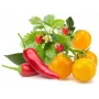 Click & Grow Fruit and Veggie Mix Plant Pods for Smart Garden, 9-Pack (PPMFVX9)