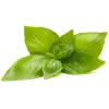 Capsules de plantes basilic citron Click & Grow pour Smart Garden, lot de 3 (SGR76X3)