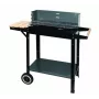 Gril de table électrique rectangulaire MASTER GRILL MG909 2000 W antiadhésif thermostat réglable