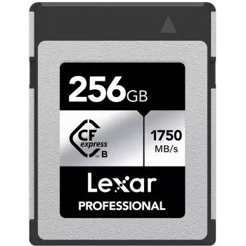 Carte mémoire Lexar Professional CFexpress Type B 256 Go, Silver Series (LCXEXSL256G-RNENG)