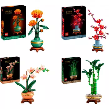 LEGO Botanicals Lot des quatre saisons