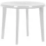 Table de jardin Keter Lisa blanche