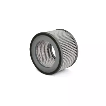 Filtre SOEHNLE AirFresh Clean 400