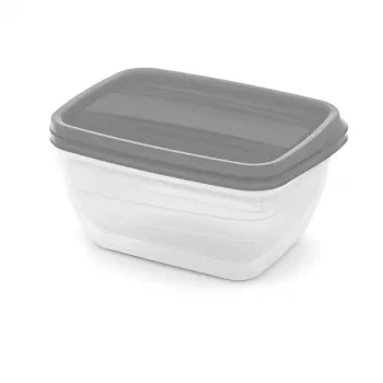 Curver Vedo ensemble de gamelles rectangulaires pour animaux 2x1,3L transparent gris
