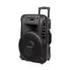 KRUGER & MATZ KM1712 enceinte active 40W avec 2 microphones HF UHF, Bluetooth, USB, SD, radio FM