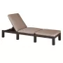 Bain de soleil KETER Jaipur avec coussin marron