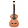 Prodipe Guitars Recital 300 4/4 - gitara klasyczna