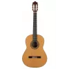 Prodipe Guitars Soloist 700 4/4 - gitara klasyczna