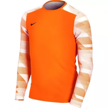 Sweat de gardien de but Nike Dry Park IV JSY LS GK junior, orange, CJ6072 819