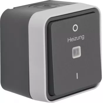 Interrupteur de contrôle en saillie Hager WNC015 2 pôles avec voyant lumineux, gris