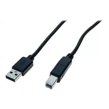 Câble USB 2.0 High Speed EXERTIS CONNECT, USB Type-A mâle vers USB Type-B mâle, noir, 5,0 m (352451)