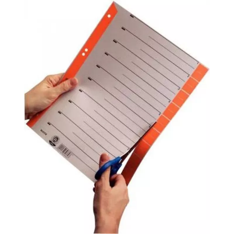 LEITZ intercalaires en carton A4, rouge, 25 feuilles (16523025)
