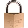 ABUS 238420 cadenas 60 mm en laiton massif avec anse en acier trempé, 2 clés