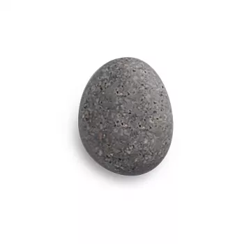 Zeller 6 Stone Magnets Grey 2.1 x 1.8 x 1.0 cm (11219)