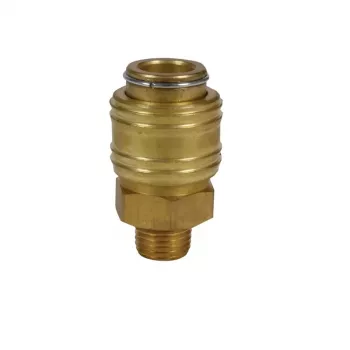 Einhell Raccord rapide R1/4 filetage mâle accessoire de compresseur 4139207