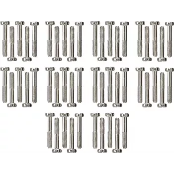 Jeu de vis cylindriques Gira 50 pièces WG AP 818000
