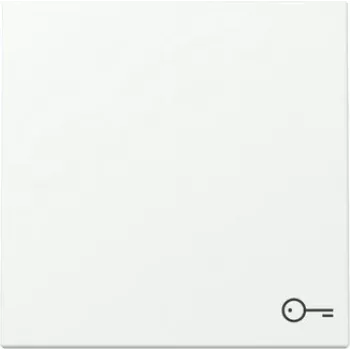 Bouton bascule Gira System 55 avec symbole porte, blanc pur satiné 328727