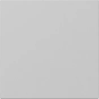 Cache bascule Gira System 55 droit gris mat 3496015