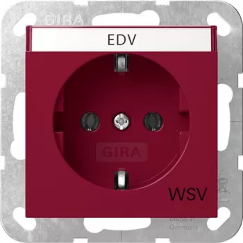 Gira 4457108 SCHUKO Socket Outlet with Hinged Cover, System 55, Pure White Glossy
