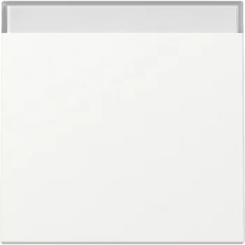 GIRA System 55 Rocker with Labeling Field, Pure White Matt, 329927