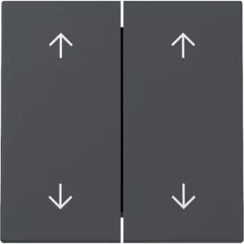 Bouton GIRA 329728 flèches 2 directions System 55 anthracite