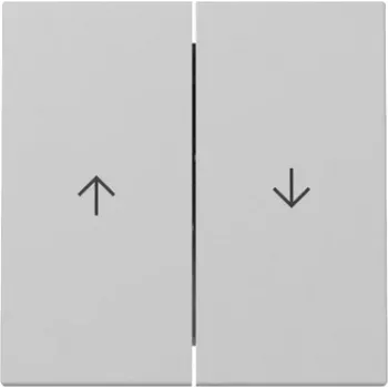 GIRA 3294015 Bouton bascule 2 postes flèche System 55 gris mat