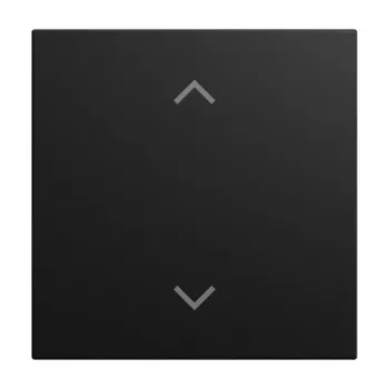 Recouvrement de bascule 1 poste Busch-Jaeger noir mat 2CKA006199A0548