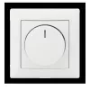 Ensemble variateur LED BUSCH-JAEGER BUSCH 6523 UJ-914-102, BSI (2CKA006512A0349)