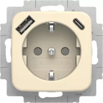 Prise SCHUKO BUSCH-JAEGER avec USB-A+C, 20 EUCB2USBAC-212 (2CKA002011A6295)