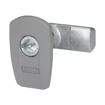 Eaton LC-DBIT5-CS Insert de serrure pour armoires rack informatique 133103
