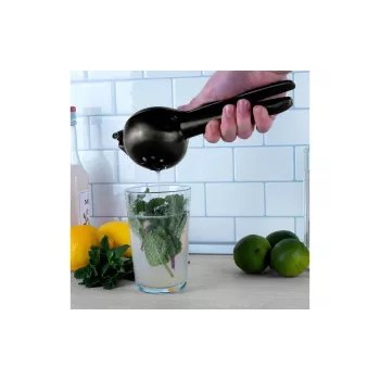 Extracteur de jus à froid manuel LURCH gris fumé 221425