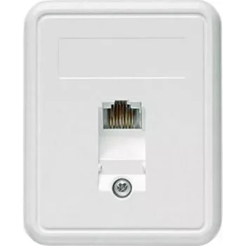 TELEGÄRTNER Prise RJ45 en saillie 1xRJ45 non blindée, Cat. 5e (A0174)
