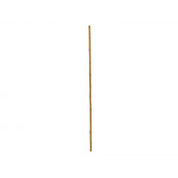 Perche en bambou EUROPALMS, Ø 3 cm, longueur 200 cm 83313200