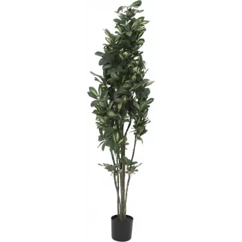 EUROPALMS schefflera plante artificielle, 120 cm, verte 82600157