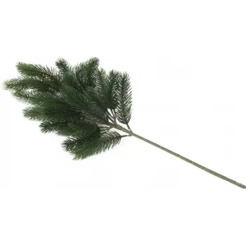 EUROPALMS Fir Branch, PE, 65cm 83500420