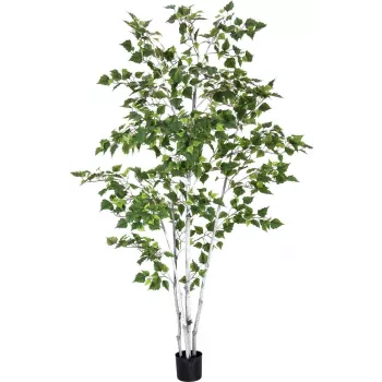 Bouleau artificiel EUROPALMS, 210 cm 82505232