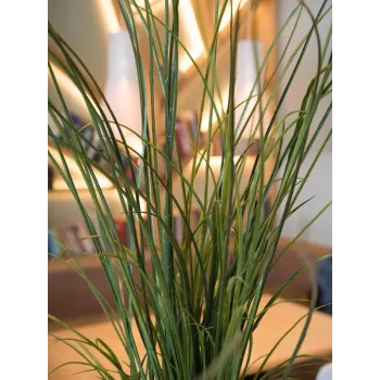 EUROPALMS Artificial Reed Grass, 145cm, Green/Brown, Pre-Potted 82600229