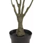 Plante Dracaena artificielle EUROPALMS, vert-rouge, 90 cm 82505778