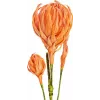 EUROPALMS Artificial Dahlia Branch (EVA), Orange 82530582