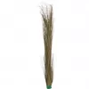 EUROPALMS Herbe de roseau artificielle, kaki, 127 cm 82505853