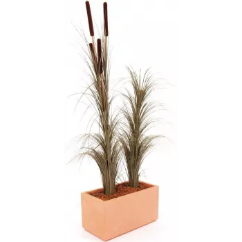 EUROPALMS Artificial Reed Grass with Cattails, Dark Brown, 152cm 82505857