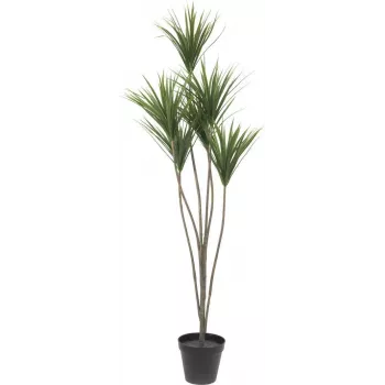 EUROPALMS palmier Yucca plante artificielle, 130 cm 82511552
