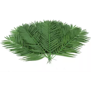 EUROPALMS palmes de cocotier artificielles, 90 cm, 12 pièces, vert 82509896