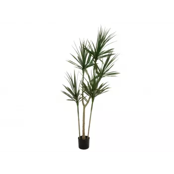 EUROPALMS Dracena Artificial Plant, Green, 170 cm 82505799