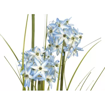 EUROPALMS Plante artificielle herbe Allium, bleu, 120 cm 82600168