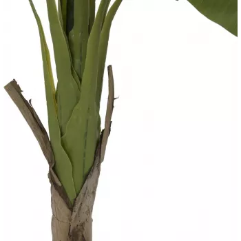 EUROPALMS bananier plante artificielle, 145 cm 82509504