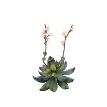 EUROPALMS Stone Rose (EVA) plante artificielle, rose, 32 cm 82530572