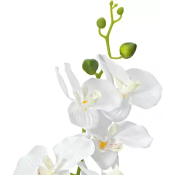 EUROPALMS orchidée plante artificielle, blanc, 80 cm (82530362)
